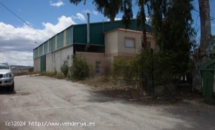 NAVE INDUSTRIAL Y TERRENO EN PUERTO LUMBRERAS. - MURCIA