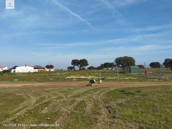 SE VENDE TERRENO en Ctra. Badajoz en Paraje Ramogil - CACERES