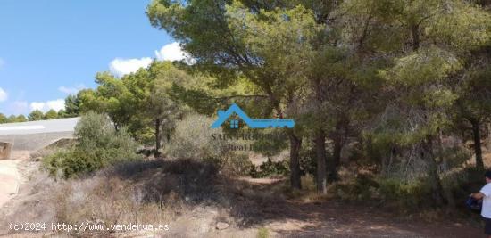 Finca rústica de 14.428 m2 a la venta en Callosa d'En Sarrià - ALICANTE