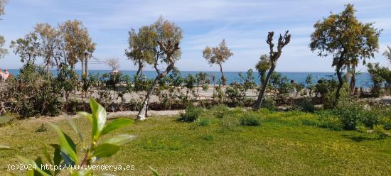 Planta baja en primera línea de playa en urbanización Naturista Natsun - ALMERIA