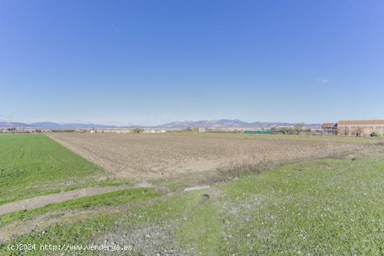 FINCA RUSTICA EN CÚLLAR VEGA - GRANADA