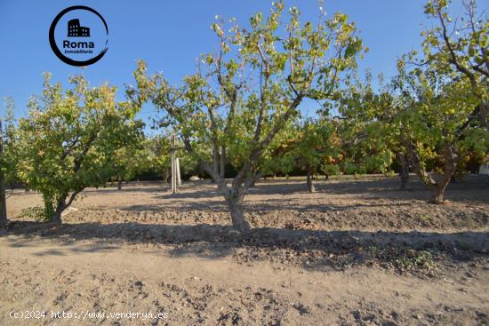 Preciosa finca rústica en Atarfe - GRANADA