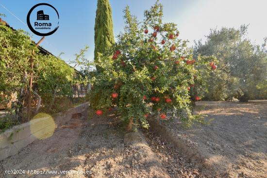 Preciosa finca rústica en Atarfe - GRANADA