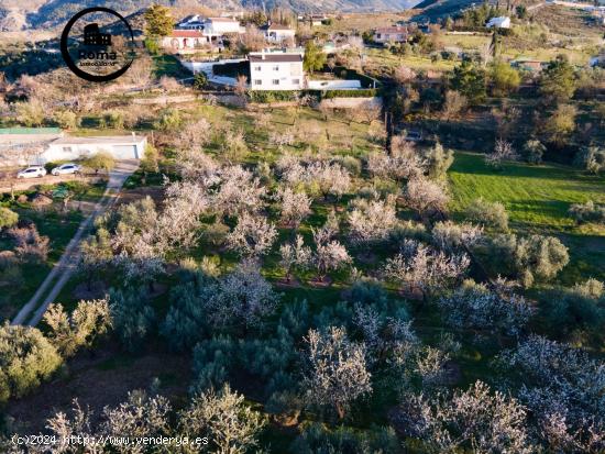 CORTIJO EN MONACHIL EN UNA PLANTA - GRANADA