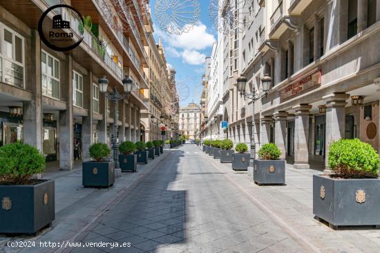 APARTAMENTO EN EL CENTRO DE GRANADA-JUNTO CALLE GANIVET - GRANADA