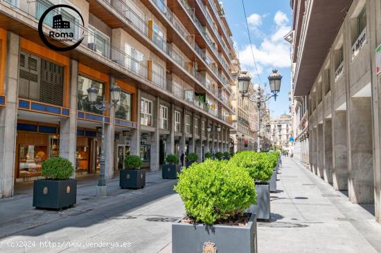 APARTAMENTO EN EL CENTRO DE GRANADA-JUNTO CALLE GANIVET - GRANADA