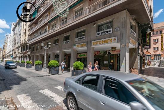 APARTAMENTO EN EL CENTRO DE GRANADA-JUNTO CALLE GANIVET - GRANADA