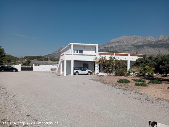 Finca rústica en Altea partida Sogai (La Olla) - ALICANTE