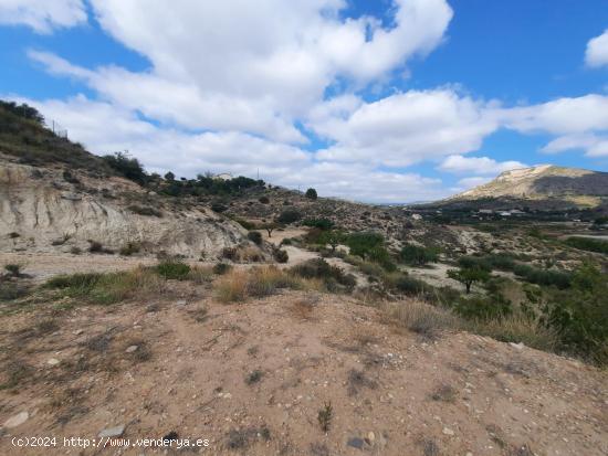 Se Vende en Novelda - ALICANTE