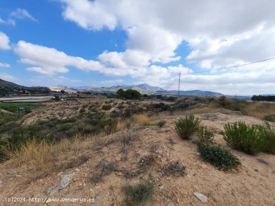 Se Vende en Novelda - ALICANTE