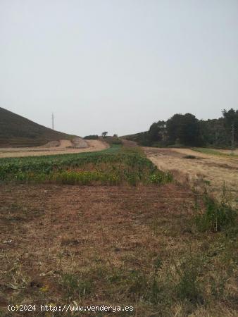  Terreno agrícola en La Esperanza - El Rosario - 9.009 m2 - SANTA CRUZ DE TENERIFE 