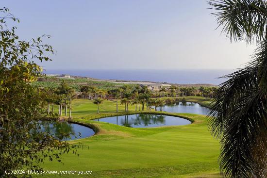  Parcela residencial - Guía de Isora - SANTA CRUZ DE TENERIFE 