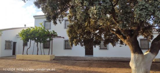 ¡Encuentra la Paz en tu Nuevo Hogar con Vistas Impresionantes! - MALAGA