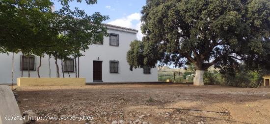 ¡Encuentra la Paz en tu Nuevo Hogar con Vistas Impresionantes! - MALAGA