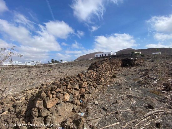 SE VENDE FINCA EN GUATIZA PARA CONSTRUIR TRES VIVIENDAS. - Teguise