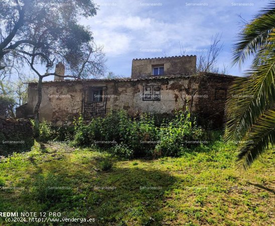 SE VENDE FINCA RÚSTICA EN VENTA EN ARACENA (HUELVA) ESPAÑA. - Aracena