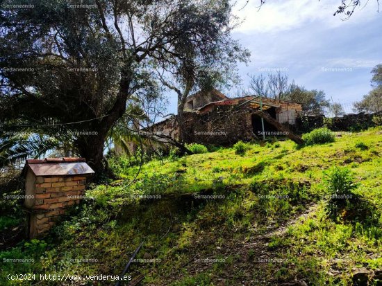 SE VENDE FINCA RÚSTICA EN VENTA EN ARACENA (HUELVA) ESPAÑA. - Aracena