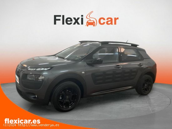 Citroën C4 Cactus BlueHDi 73KW (100CV) Business - Cáceres