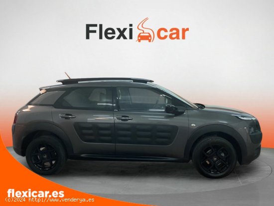 Citroën C4 Cactus BlueHDi 73KW (100CV) Business - Cáceres