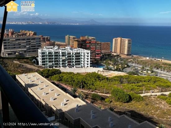 ALQUILER DE SEPTIEMBRE A JUNIO CON VISTAS INCREÍBLES - ALICANTE