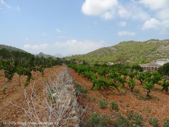  Terreno construible en Lliber - ALICANTE 