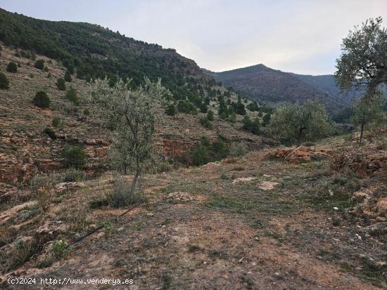  FINCA EN FONDON - ALMERIA 