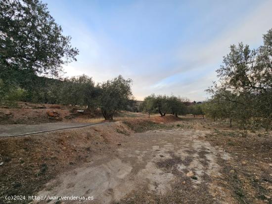 FINCA EN FONDON - ALMERIA