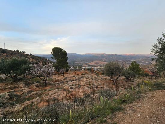 FINCA EN FONDON - ALMERIA