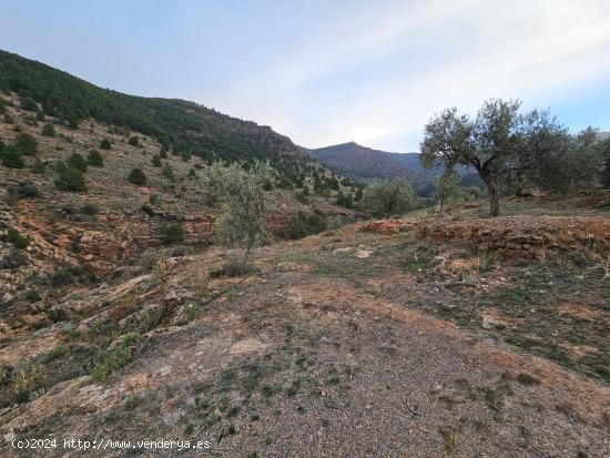 FINCA EN FONDON - ALMERIA