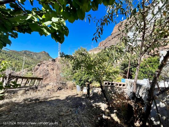  FINCA con Casa-Cueva con terreno urbano en la zona de Juncal de Tejeda - LAS PALMAS 