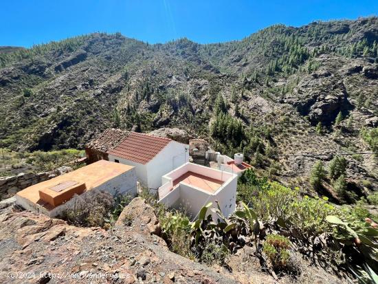 FINCA con Casa-Cueva con terreno urbano en la zona de Juncal de Tejeda - LAS PALMAS