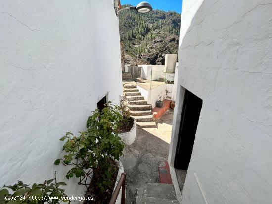 FINCA con Casa-Cueva con terreno urbano en la zona de Juncal de Tejeda - LAS PALMAS