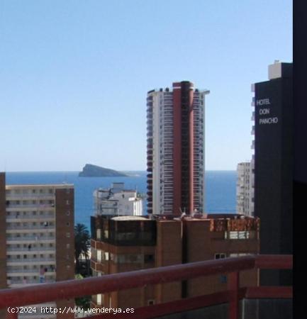 Se Vende en Benidorm - ALICANTE