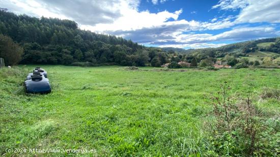 SE VENDE SUELO URBANIZABLE EN OREÑA, ALFOZ DE LLOREDO - CANTABRIA