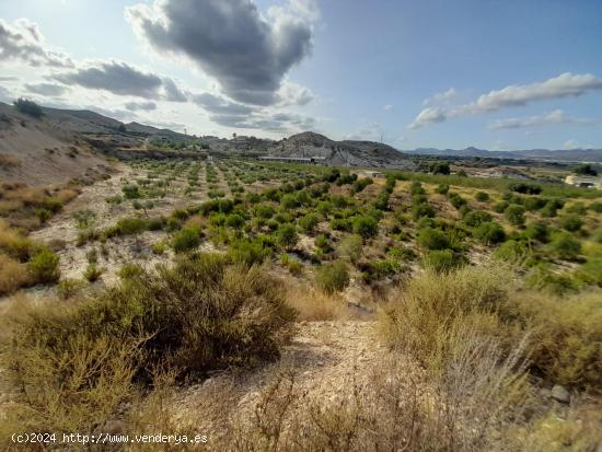 PARCELAS EN ASPE - ALICANTE