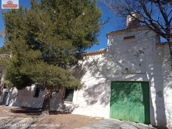  EXCELENTE FINCA RUSTICA AGRICOLA A UN PASO DE ALBACETE - ALBACETE 