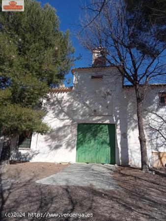 EXCELENTE FINCA RUSTICA AGRICOLA A UN PASO DE ALBACETE - ALBACETE