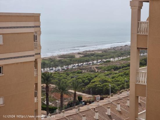 ALQUILER EN URBANIZACIÓN - SE ADMITEN MASCOTAS - ALICANTE