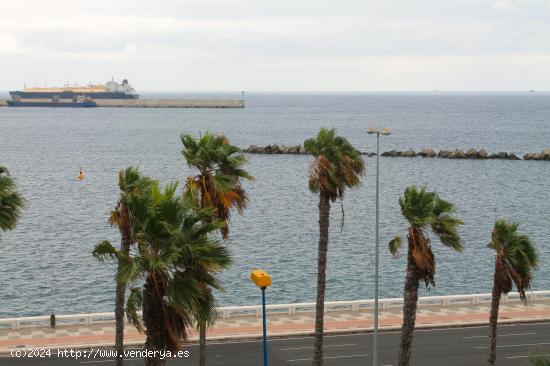 Se Alquila en Las Palmas de Gran Canaria - LAS PALMAS