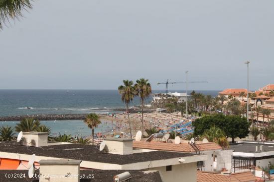  Se alquila piso de  dos habitaciones en  Los Cristianos cerca de Playa Las Vistas - SANTA CRUZ DE TE 