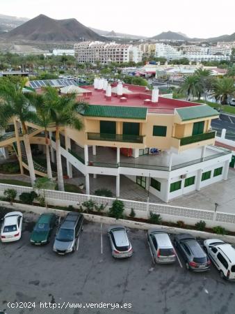 Se alquila apartamento CORTA TEMPORADA  en Los Cristianos. PRECIO A CONSULTAR - SANTA CRUZ DE TENERI