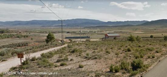 SE VENDE FINCA RUSTICA CON NAVE INDUSTRIAL YECLA - MURCIA