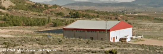 SE VENDE FINCA RUSTICA CON NAVE INDUSTRIAL YECLA - MURCIA