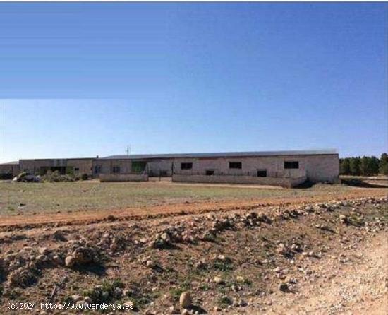 SE VENDE FINCA RUSTICA CON NAVE EN MORATALLA - MURCIA