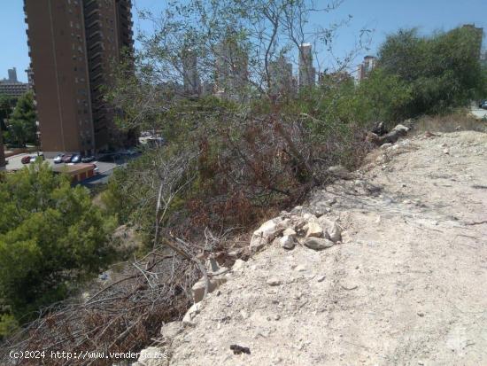 TERRENO URBANO EN BENIDORM - ALICANTE