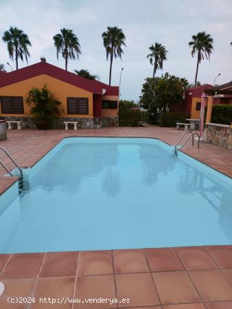 Alquiler de Bungalow en Maspalomas. - LAS PALMAS