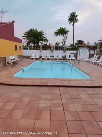 Alquiler de Bungalow en Maspalomas. - LAS PALMAS