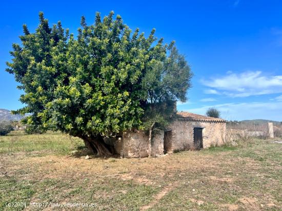 Finca rústica Buger - BALEARES