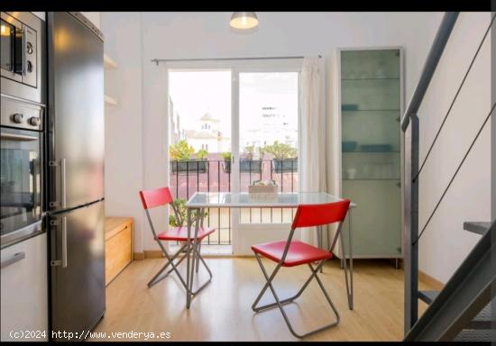 Estupendo loft dúplex con licencia vacacional en vigor. - MALAGA