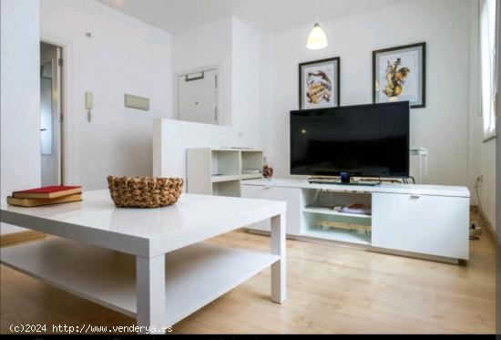 Estupendo loft dúplex con licencia vacacional en vigor. - MALAGA